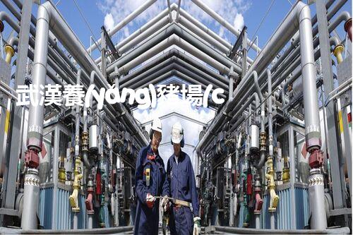 武漢養(yǎng)豬場(chǎng)廢水處理的以后：揭秘綠色養(yǎng)殖的奧秘？